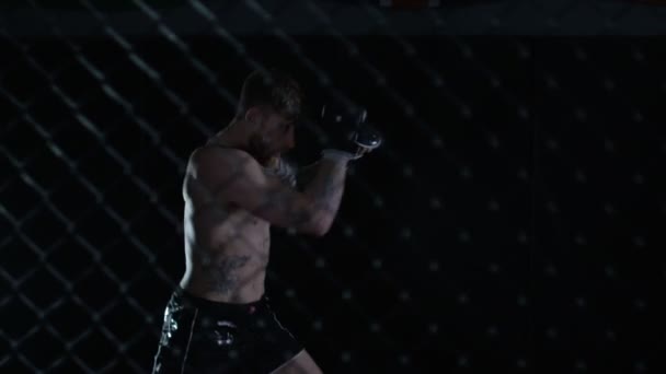 MMA vechter gooien kicks — Stockvideo