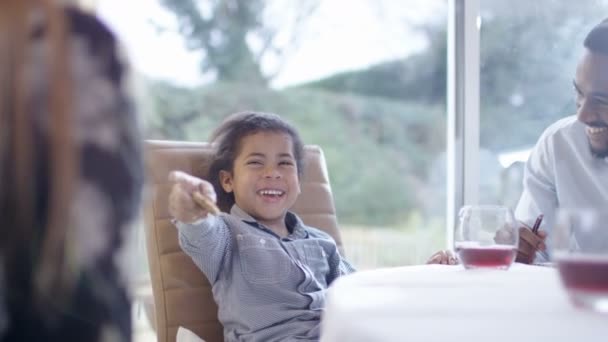 Family laughing at the lunch table — Αρχείο Βίντεο