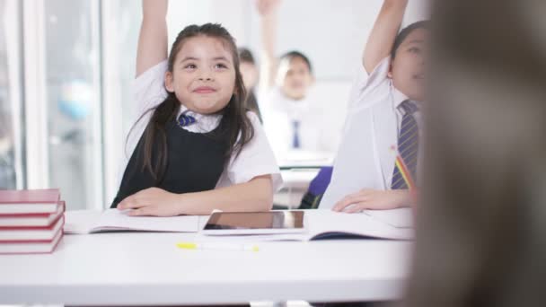 Schoolkinderen in klasse luisteren naar leraar — Stockvideo