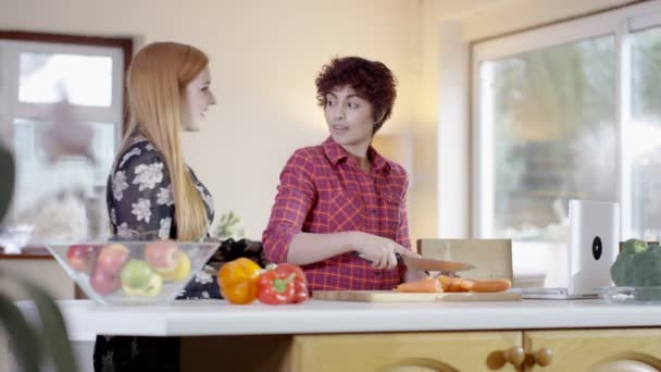 Female couple preparing a meal — Αρχείο Βίντεο