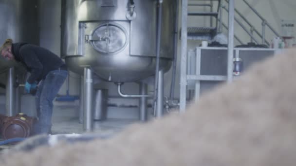 Lúpulo de vapor usado no processo de fabricação de cerveja — Vídeo de Stock