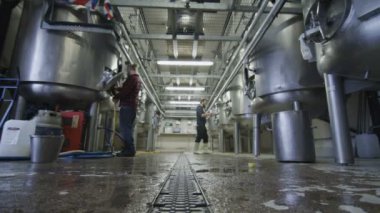 Birahane makineleri kontrol işçi