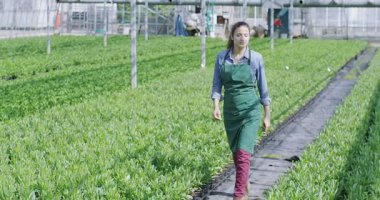 tarım sektöründe iş Yöneticisi