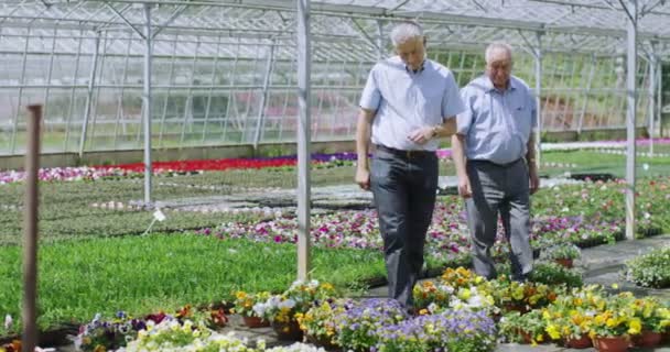 Businessmen in greenhouse shake hands — Stock Video