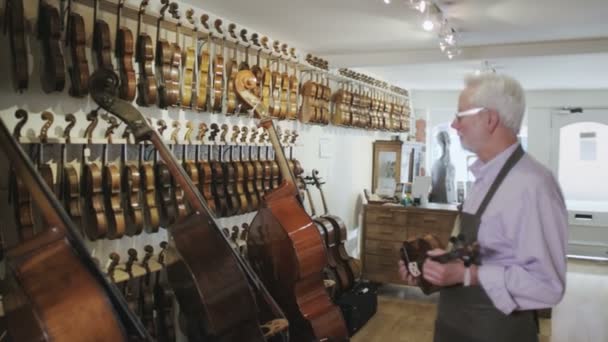 Shopkeeper in musical store — Stock Video