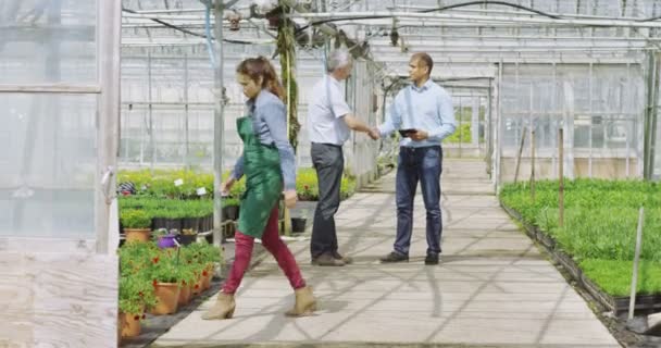 Empresarios en invernadero se dan la mano — Vídeo de stock