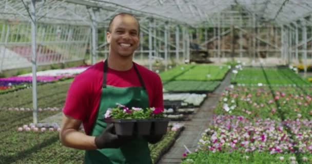 Sonriente trabajador en vivero de plantas — Vídeos de Stock