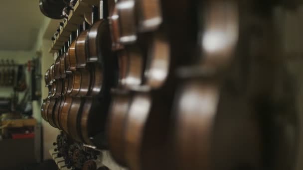 Violons à vendre dans un magasin de musique — Video