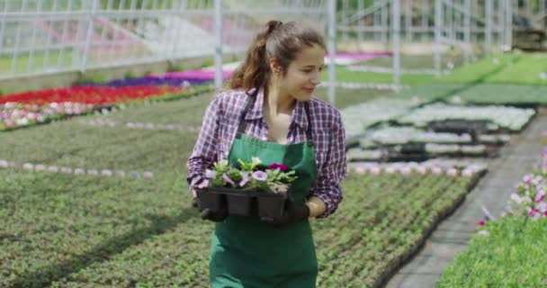 Усміхнений працівник в розпліднику рослин — стокове відео