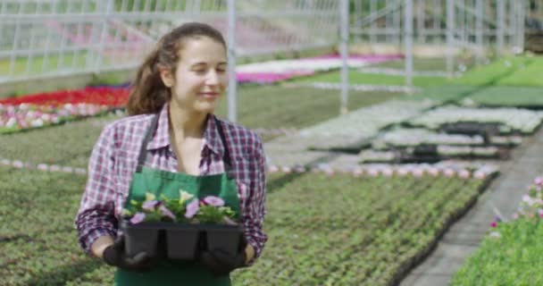 Усміхнений працівник в розпліднику рослин — стокове відео