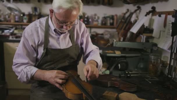 Handwerker restauriert Geigen — Stockvideo