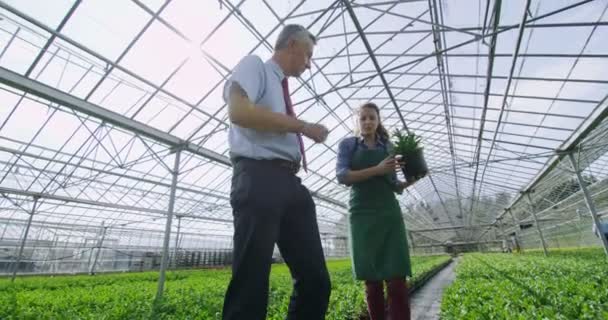 Pracovníci kontroly rostlin — Stock video