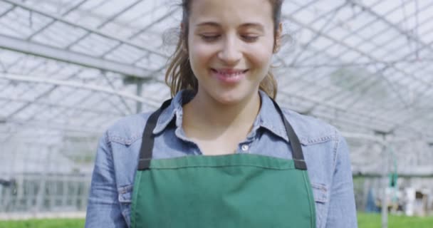 Worker holding a tray of seedlings — Stock Video