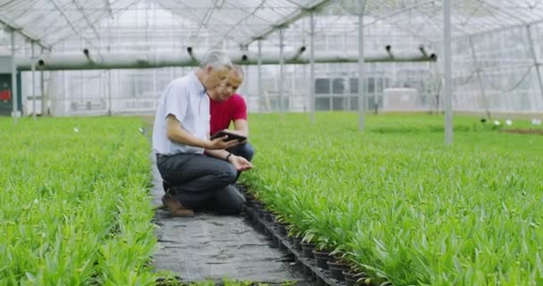 Werknemers controle van planten met tablet — Stockvideo