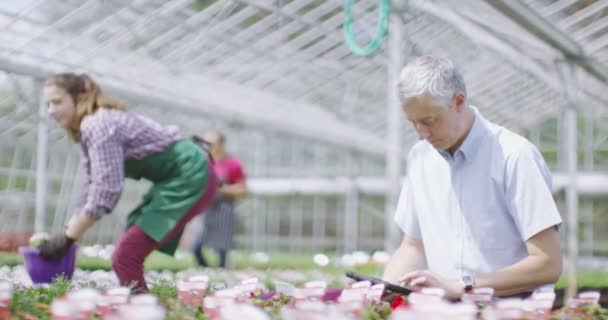 Dolgozók ellenőrzése a növények a növények beadása — Stock videók