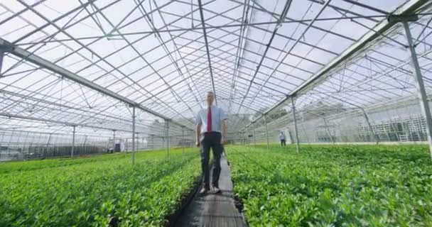 Gerente de negócios na indústria agrícola — Vídeo de Stock