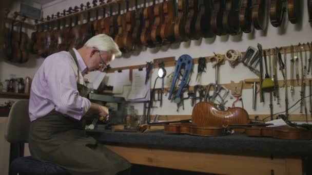 Майстер відновлення скрипок — стокове відео