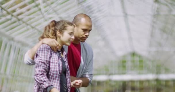 Pareja mirando las plantas — Vídeo de stock