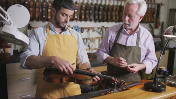 Artesanos restaurando violines — Vídeo de stock