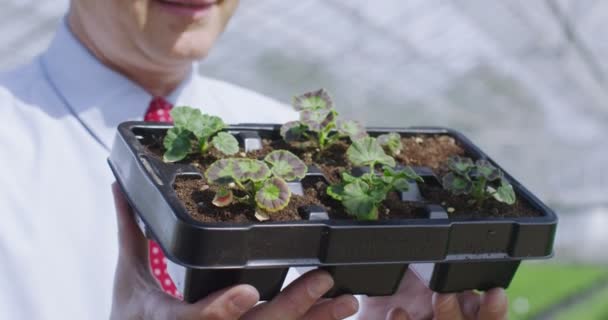 Affärsman som innehar en bricka av plantor — Stockvideo