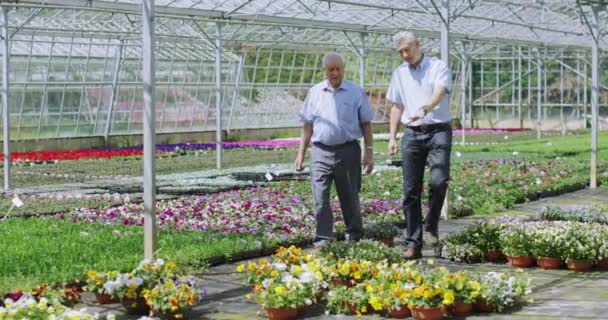 Businessmen in greenhouse shake hands — Stock Video