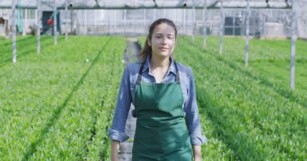 Gerente de negocios en la industria agrícola — Vídeo de stock