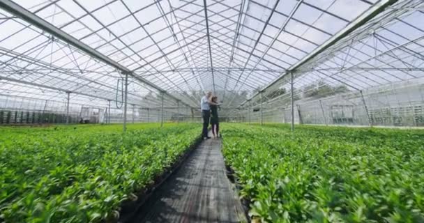 Trabajadores revisando las plantas — Vídeo de stock