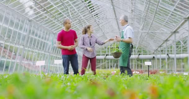 Werknemer helpende paar winkelen voor planten — Stockvideo