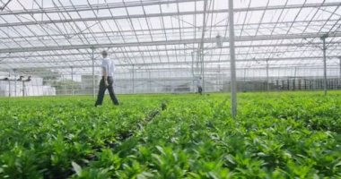 Bitkiler kontrol işçi 