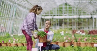  Bitkilere bakan bir çift.