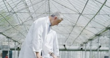 Bitkiler tablet ile kontrol işçi 