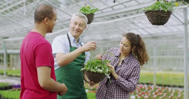 Werknemer helpende paar winkelen voor planten — Stockvideo