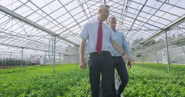 Trabajadores revisando las plantas — Vídeo de stock