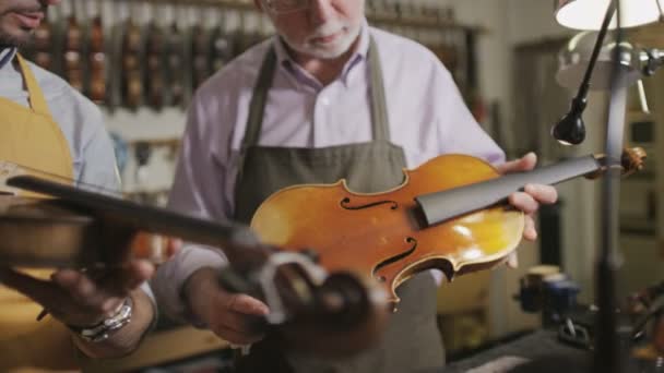 Artesanos restaurando violines — Vídeos de Stock