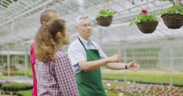 Werknemer helpende paar winkelen voor planten — Stockvideo