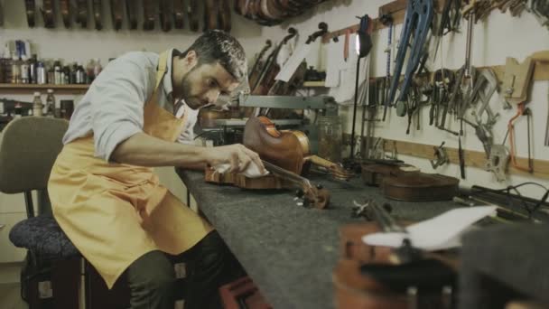 Craftsman restoring violins — Stock Video