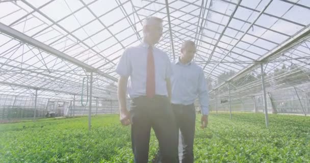 Workers checking the plants — Stock Video