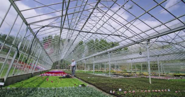 Gerente de negocios comprueba plantas con flores — Vídeos de Stock