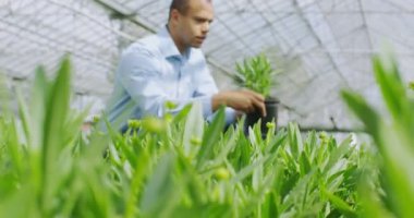 tarım sektöründe iş Yöneticisi