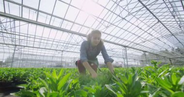 genç bitki holding işçi