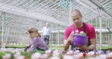 Bitki bitkiler kontrol kontrol işçi