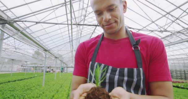 Dělník, natáhl do mladý semenáč — Stock video
