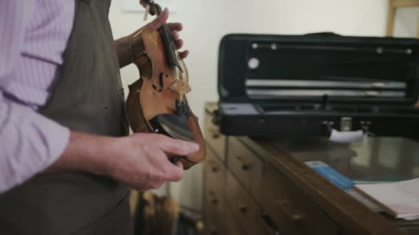 Père et fils regardant des violons — Video