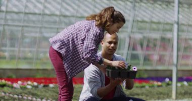  Bitkilere bakan bir çift.