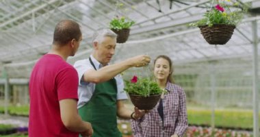 işçi yardım çift bitkiler için alışveriş