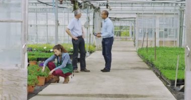 İşadamları sera içinde el sallamak