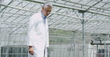 Tarım sektöründe iş Yöneticisi