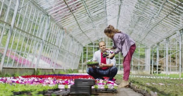 Couple regardant les plantes — Video