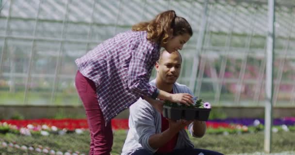 Pareja mirando las plantas — Vídeo de stock