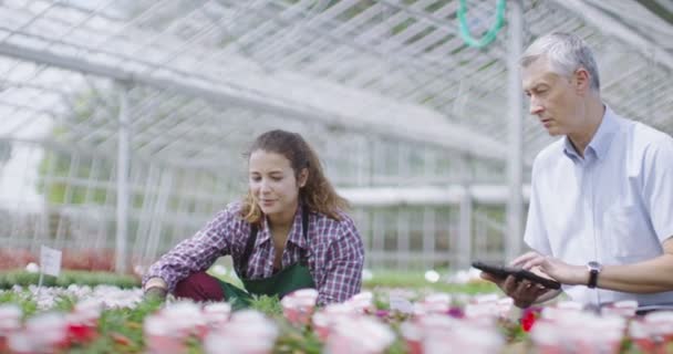 労働者植物をチェックで植物をチェック — ストック動画